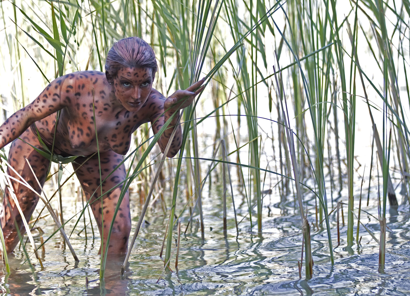 Tierparadies W&ouml;rthersee: Die letzte Stelle Europas wo neben der Steinlaus auch der &auml;u&szlig;erst scheue Schilfleopard in freier Wildbahn beobachtet werden kann.