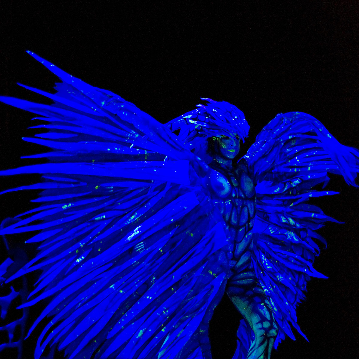 Fluoroshow by Tatiana Velichkina (RUS)