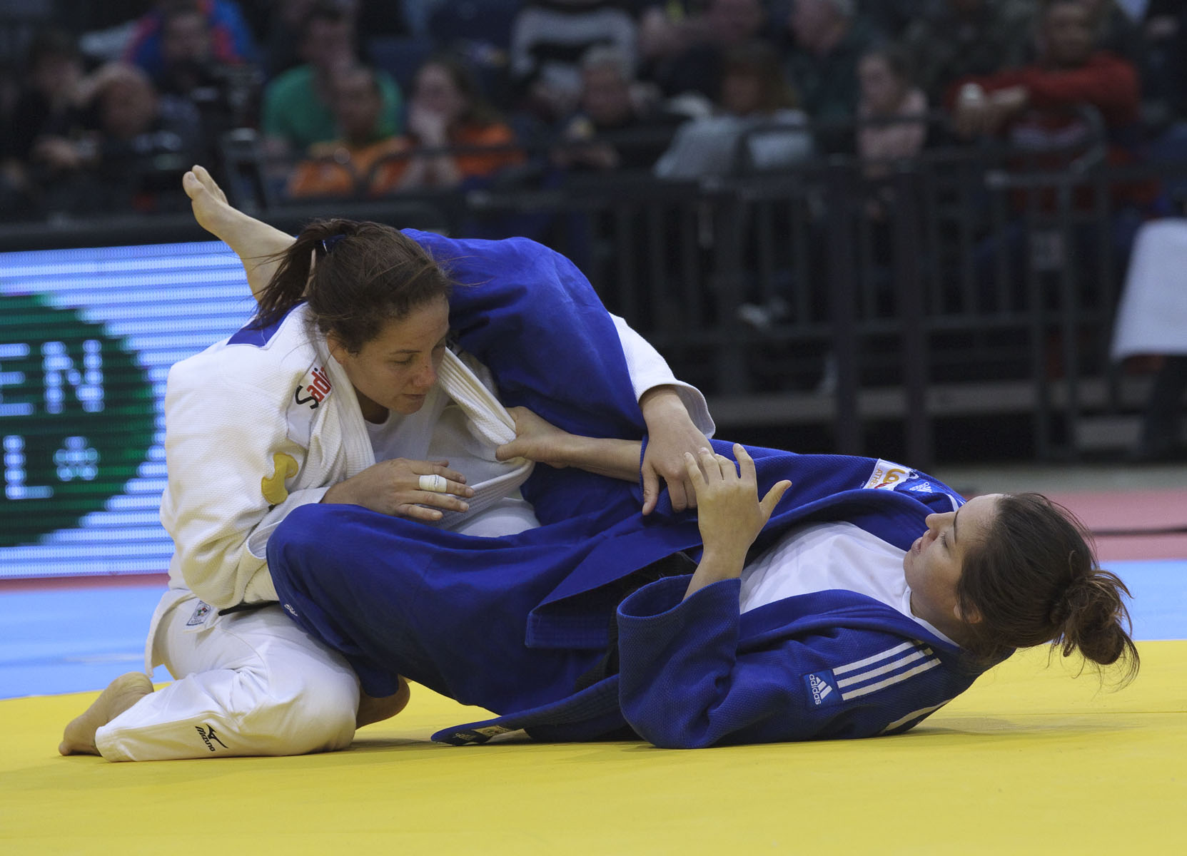 Lior Wildikan (ISR) vs Maria Portela (BRA)