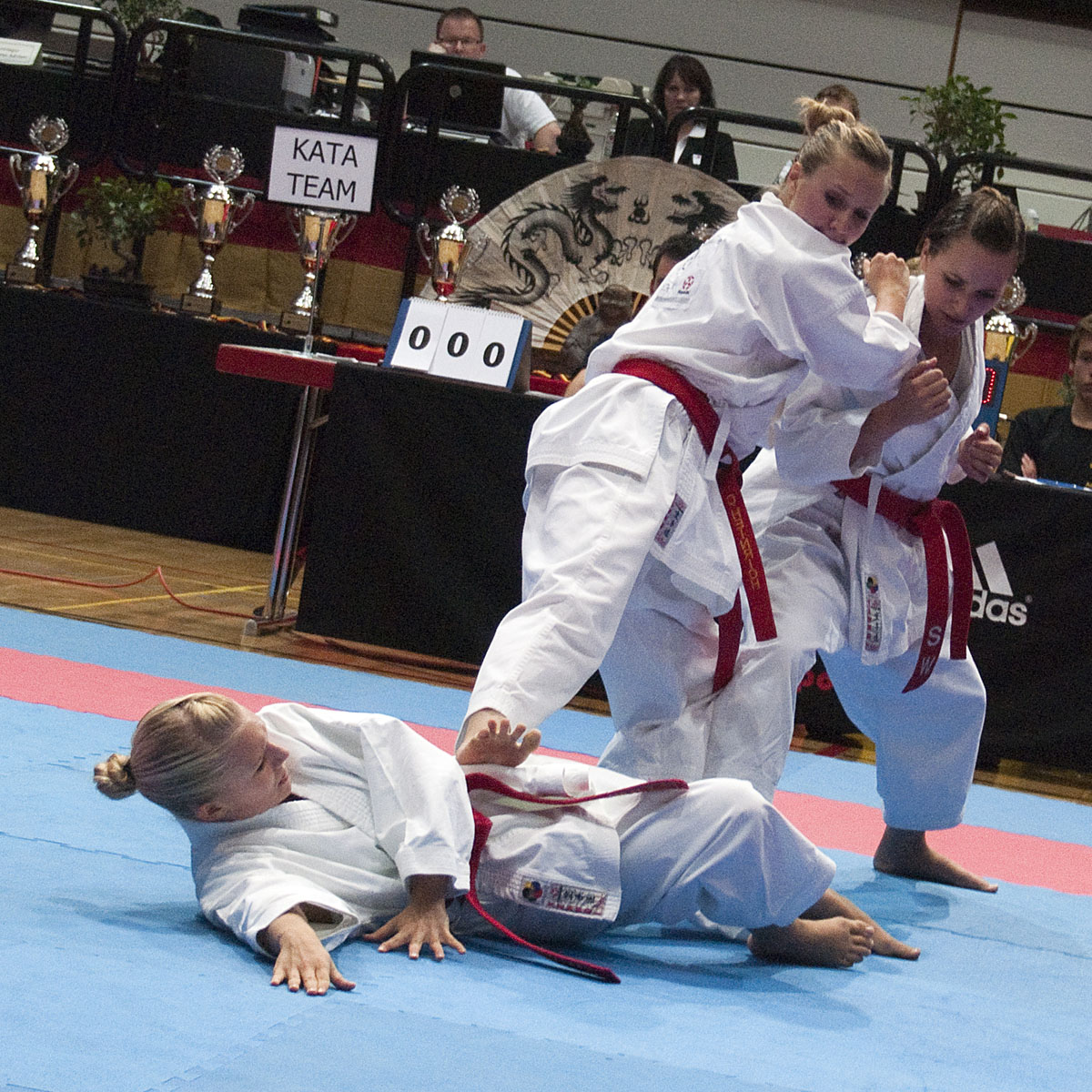 Karate German Open 2011 - Finale Kata Team Damen