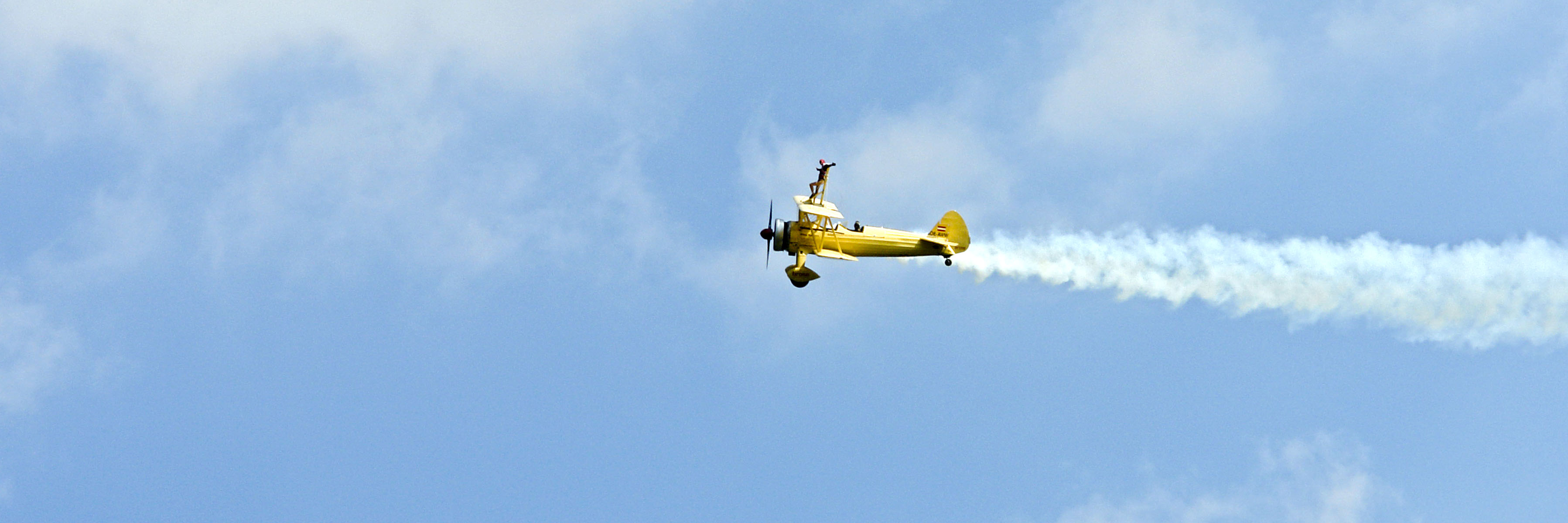 Peggy Krainz - Wing Walkers