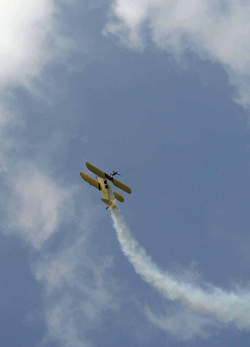 Peggy Krainz - Wing Walkers