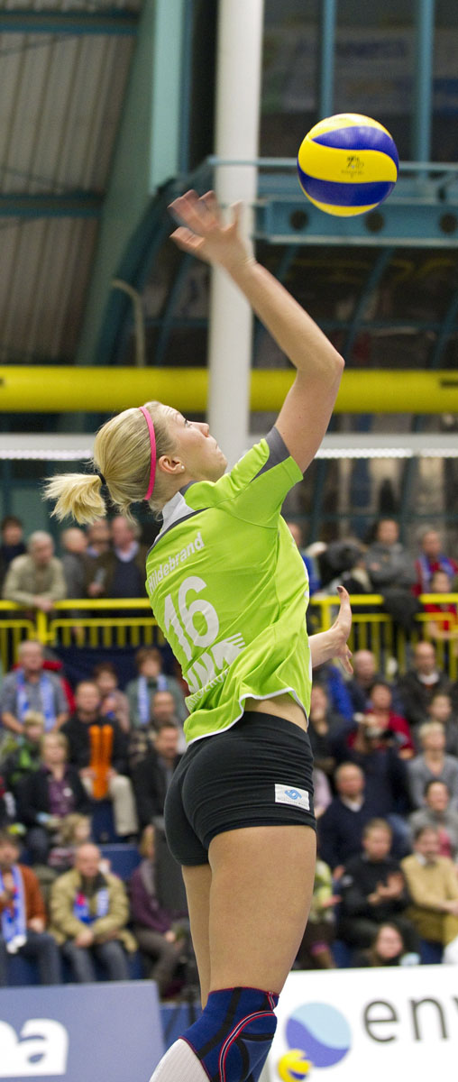 Volleyball: VC Wiesbaden - USC Münster