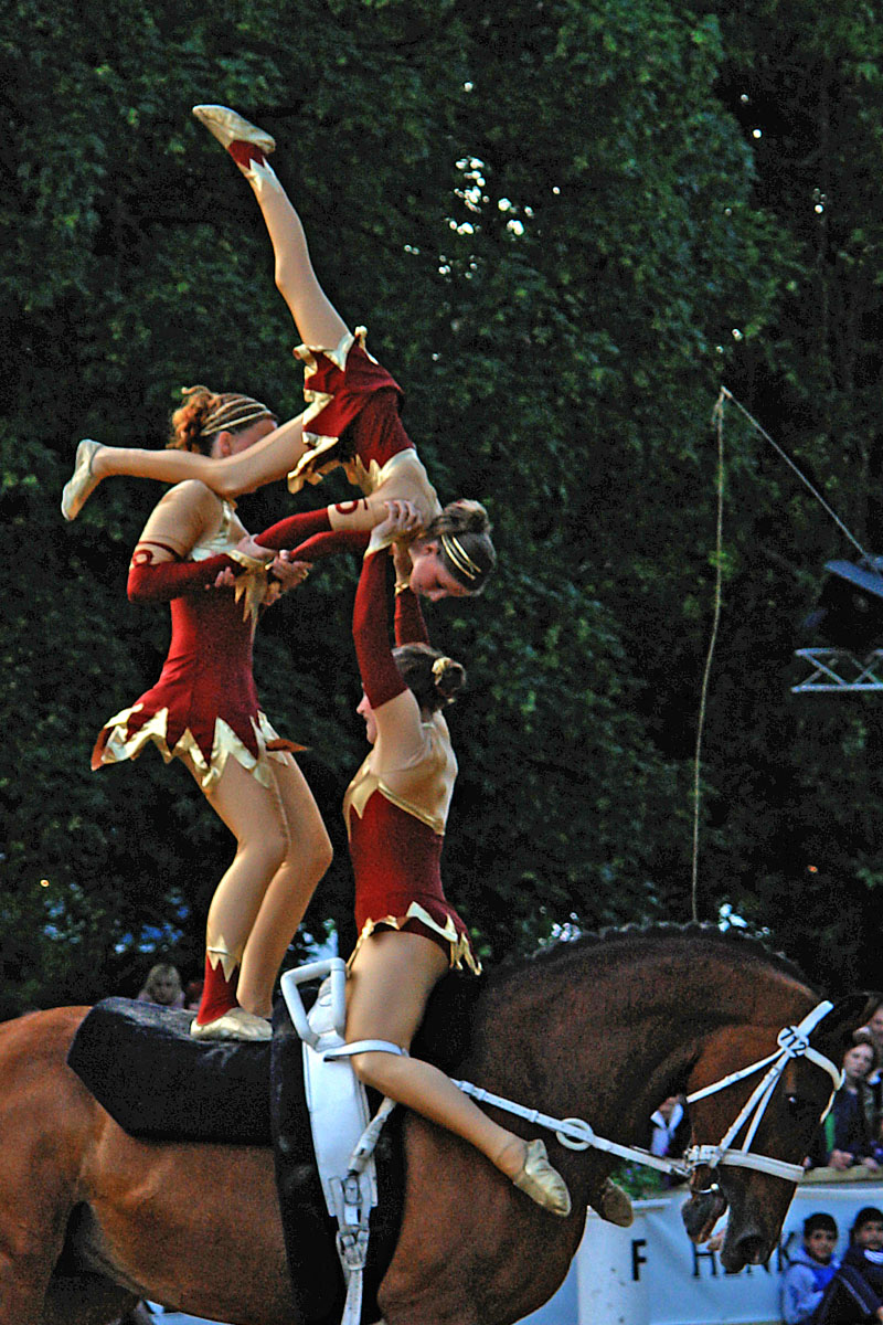 Vaulting Team R. R. (NED) auf Muel vant Carelshof