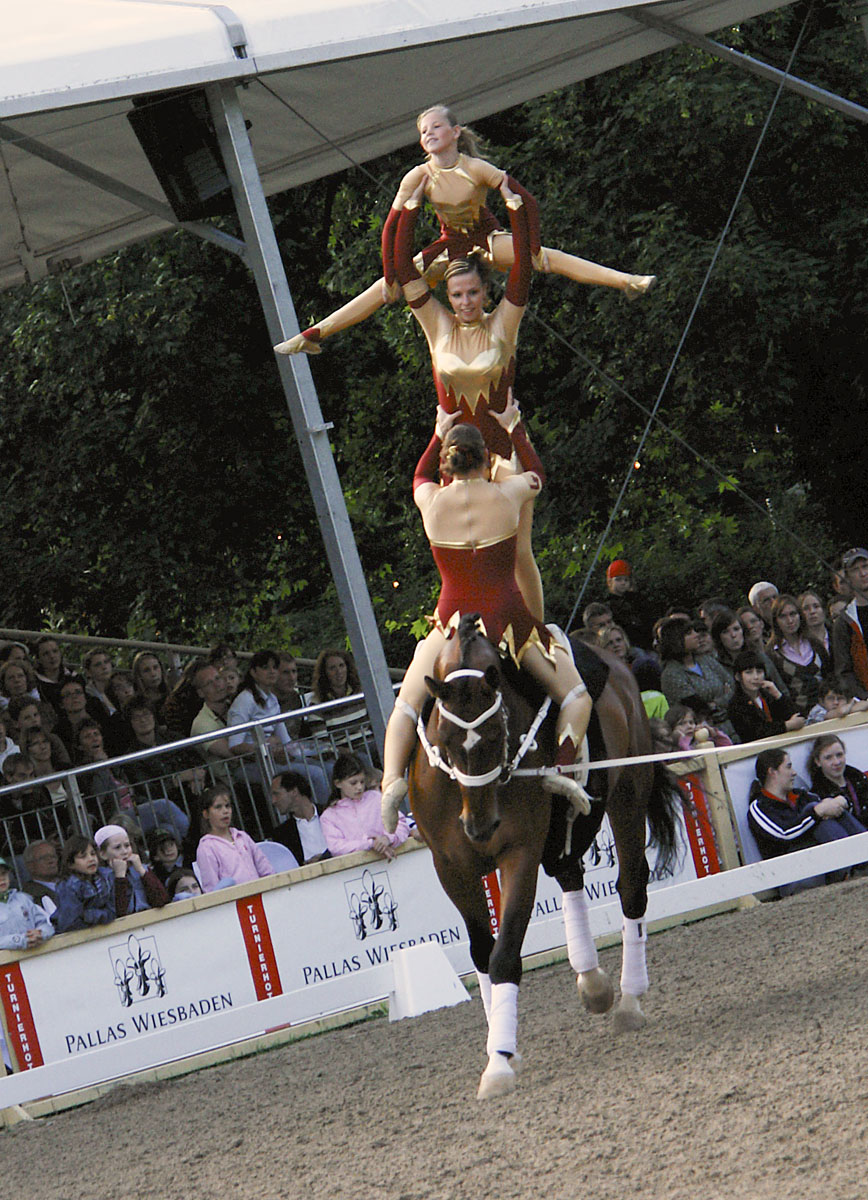 Vaulting Team R. R. (NED) auf Muel vant Carelshof