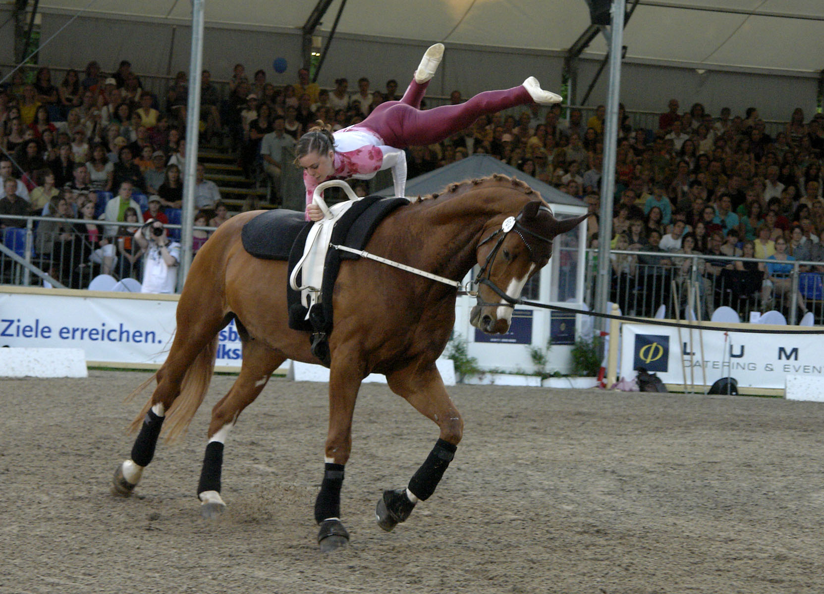 Regina Burgmayr (GER) auf Cappucino 11