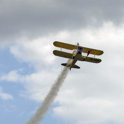 Peggy Krainz - Wing Walkers