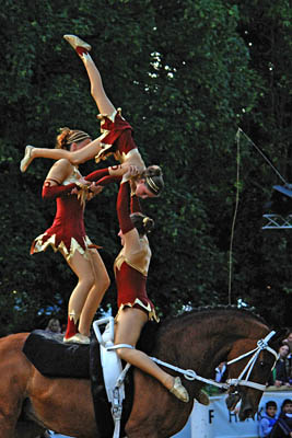 Vaulting Team R. R. (NED) auf Muel vant Carelshof