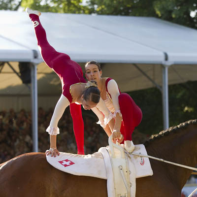 Team Harlekin (SWI) auf Zidane B