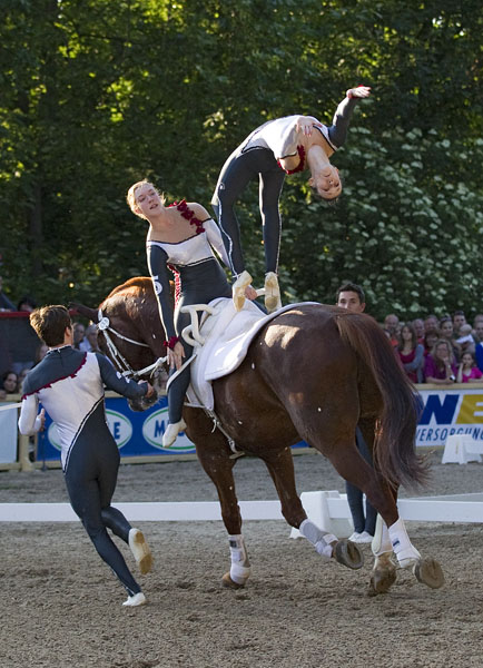 Voltigieren - CVI*** Master Class 2012 - Pfingstturnier Wiesbaden Biebrich