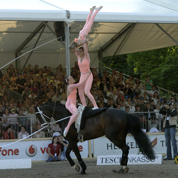 Voltigieren - CVI** Master Class 2008 - Pfingstturnier Wiesbaden Biebrich